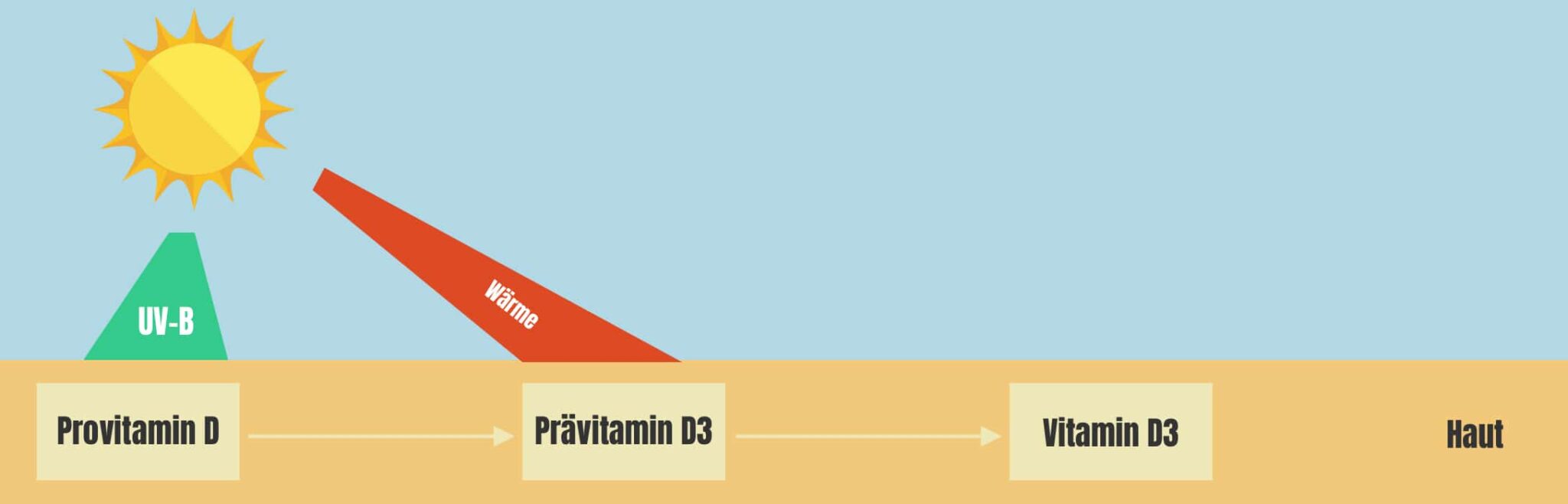 Wunderschne Sonne Vitamin B12 Ebenbildnull