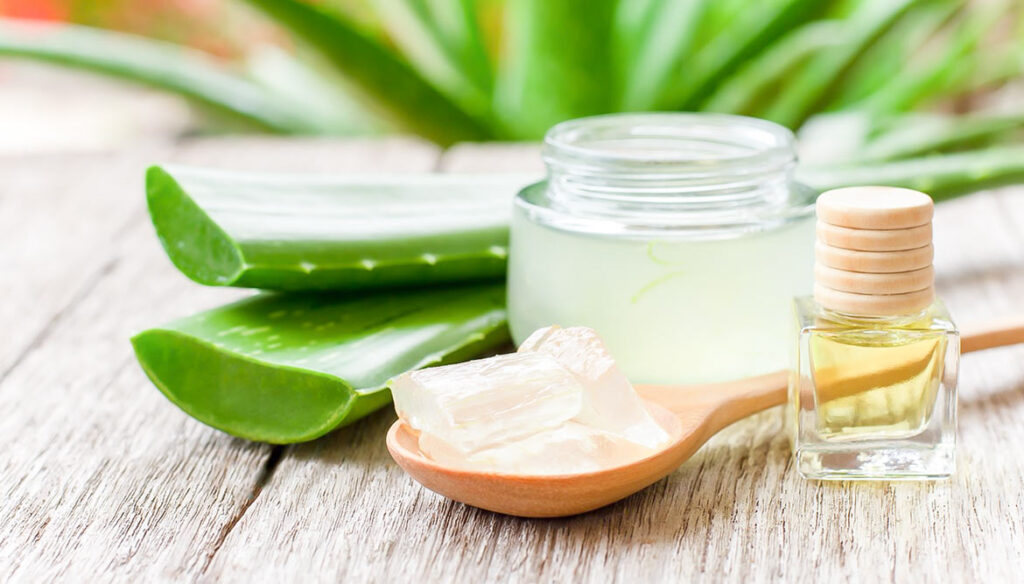 Aloe Vera Creme Selber Machen Mit Olivenöl Aloe Vera-Creme selber machen - Natürlich & 100% vegan